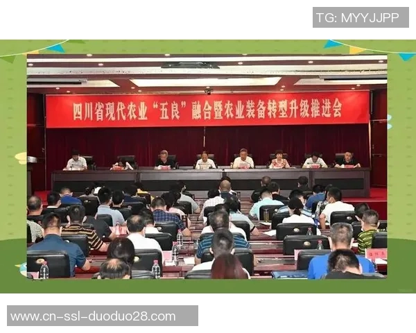 篮球明星符号的魅力与影响力探讨：从场上表现到文化象征的多维解读